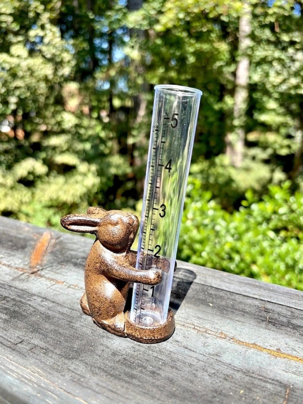 Cast Iron Rabbit Rain Gauge Decor, Brown & Clear